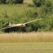 IMG_6875