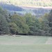 IMG_0889
