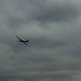 IMG_6147